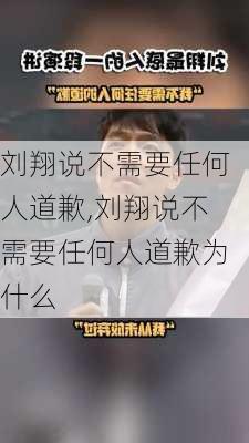刘翔说不需要任何人道歉,刘翔说不需要任何人道歉为什么